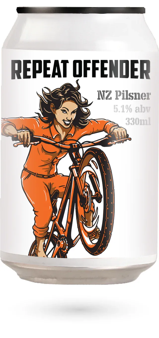 Double Vision "Repeat Offender" NZ Pilsner 6x330ml