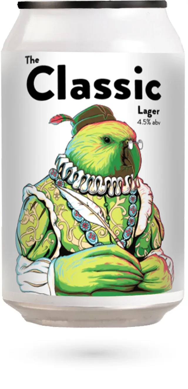Double Vision "The Classic" Lager 6 x 330ml