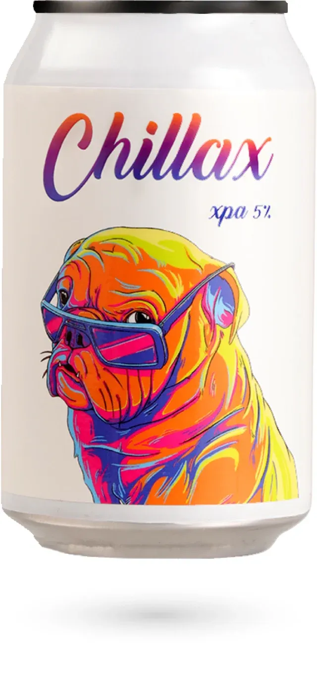 Double Vision "Chillax" XPA 6 x 330ml